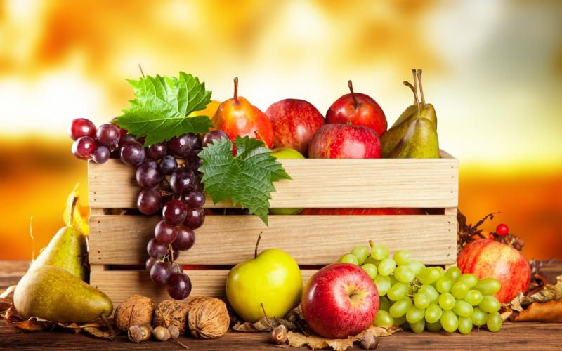 फलों से जुड़े अनसुने रोचक तथ्य Facts of Fruits in Hindi